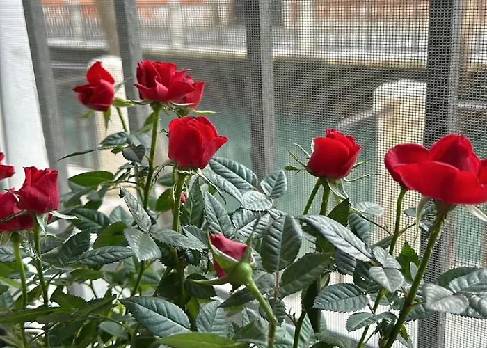 Marin & Kristi Apartament Wenecja